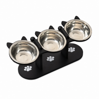 Ergonomic 15° Tilted Cat Feeder