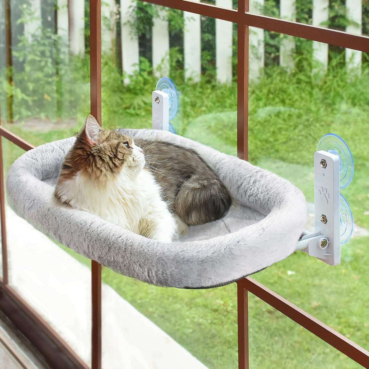 Ultimate Cat Window Sanctuary